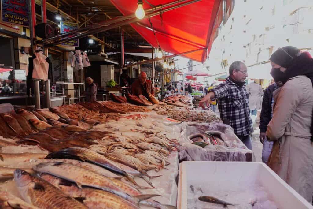 Halal Food in Alexandria, Egypt