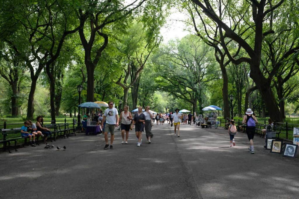 things to do alone in central park muslim friendly