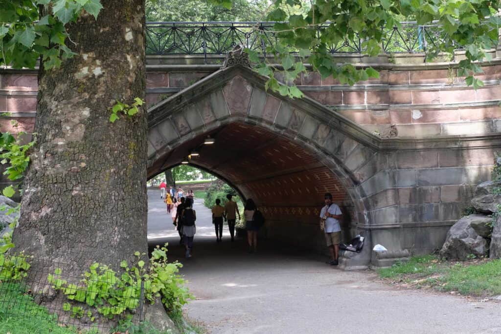 things to do alone in central park
