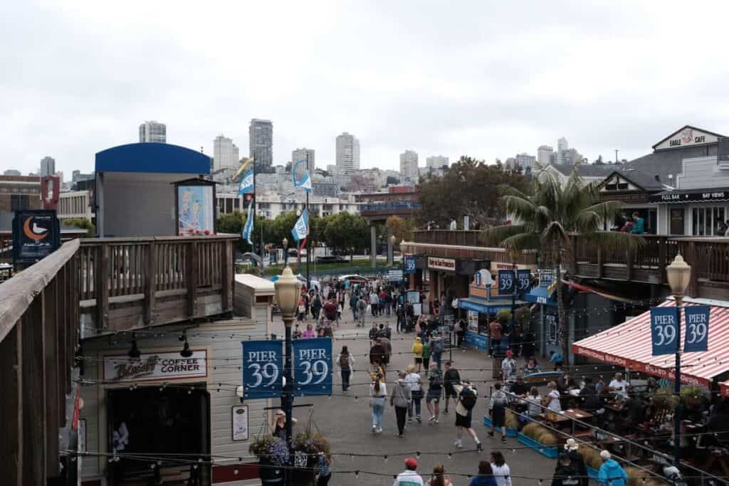 Muslim-friendly Things To Do Alone at Pier 39 and Fisherman’s Wharf