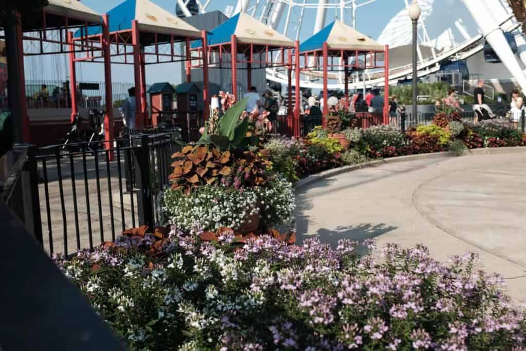 What to do alone in Navy Pier for the Muslim Travelers