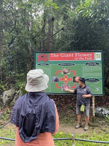 Blooming Period of Rafflesia in Malaysia