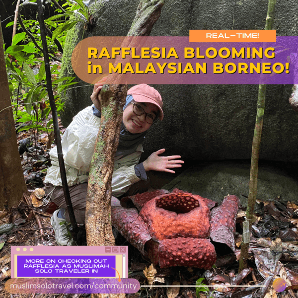 Gunung Gading Malaysia Rafflesia Blooming Experience as Muslimah Solo Traveler