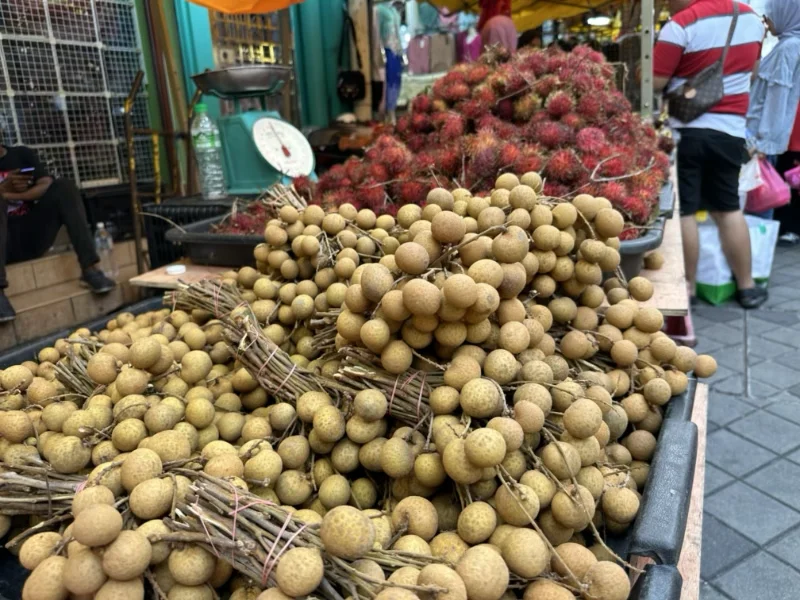 Tropical Fruits in Malaysia